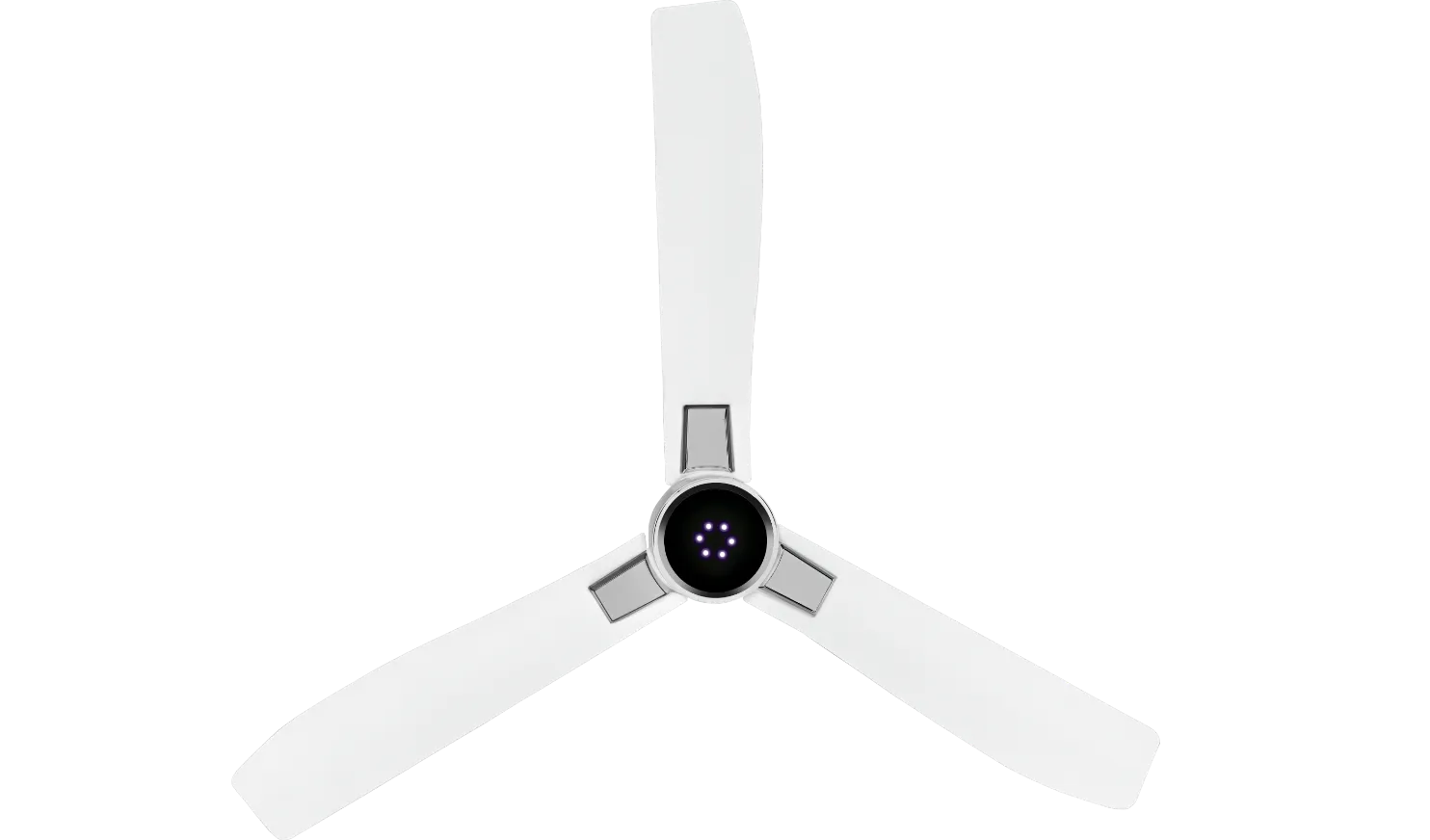 fan-banner