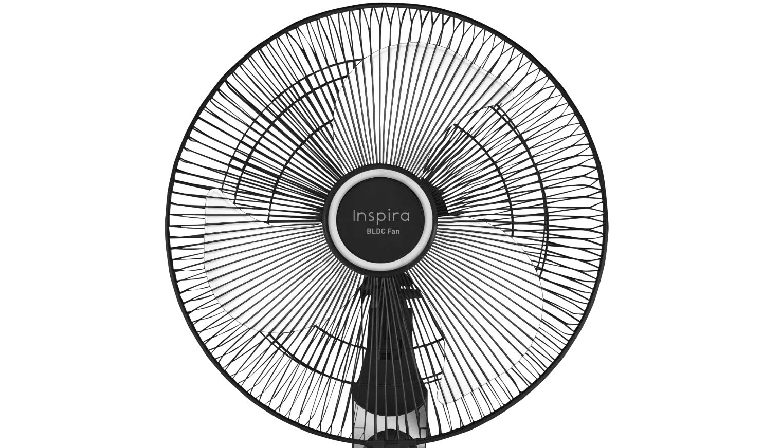 fan-banner