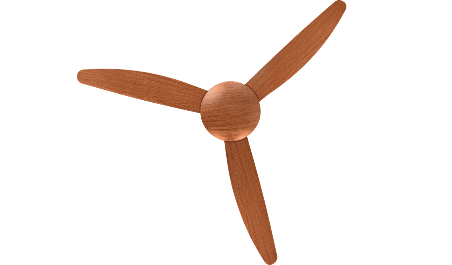 fan-banner