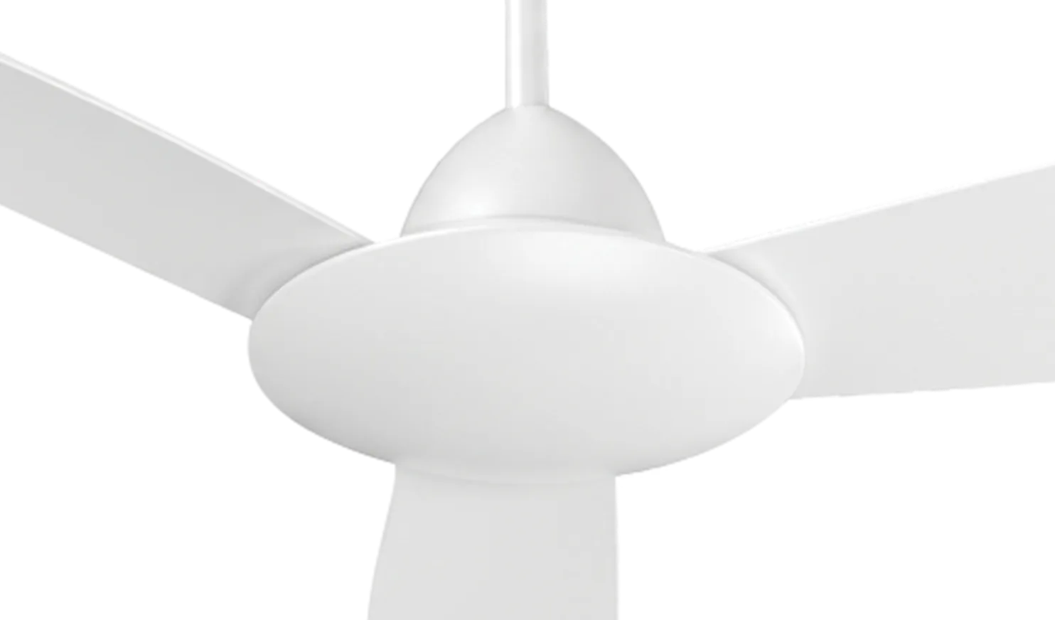 fan-banner