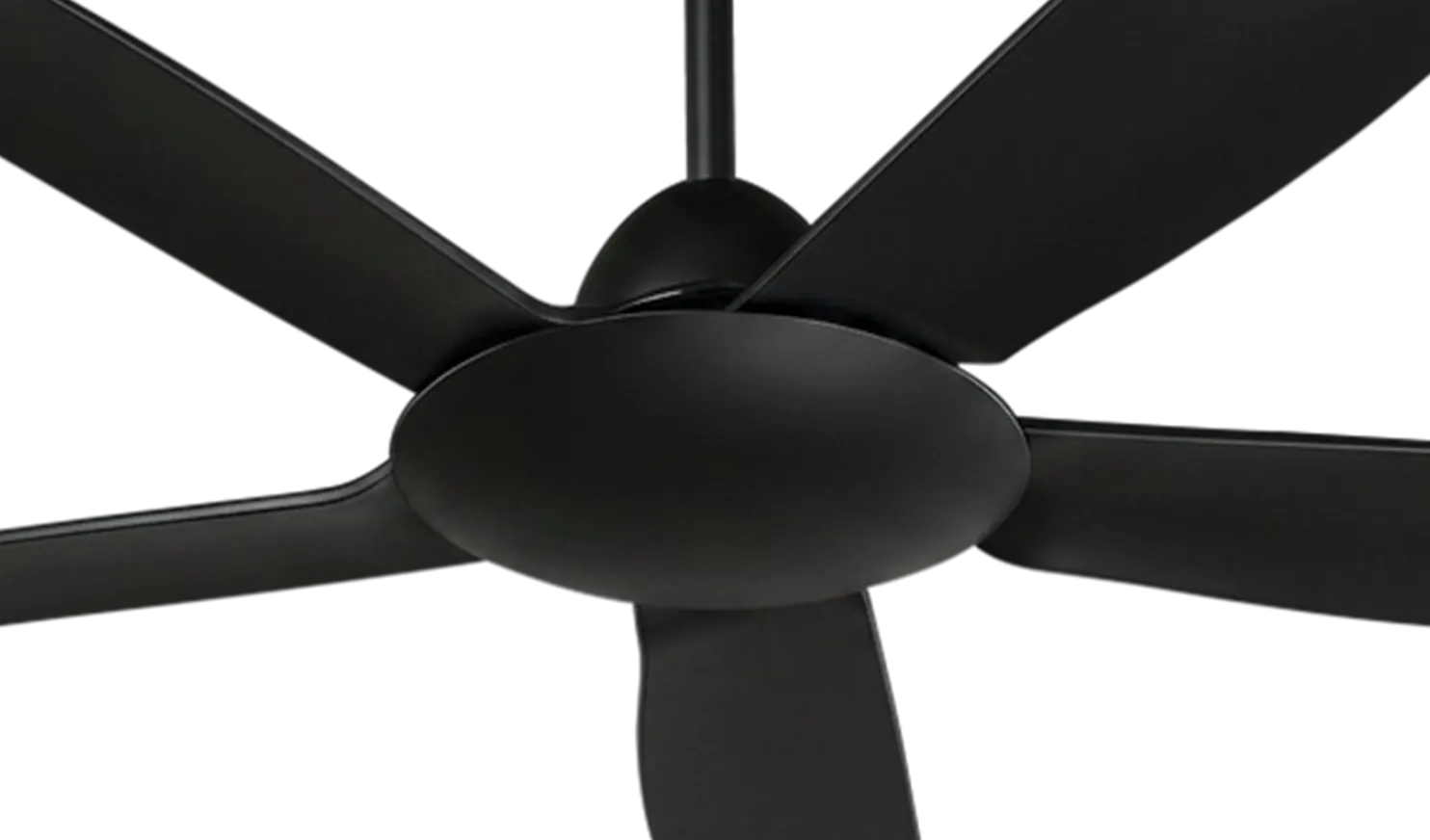 fan-banner