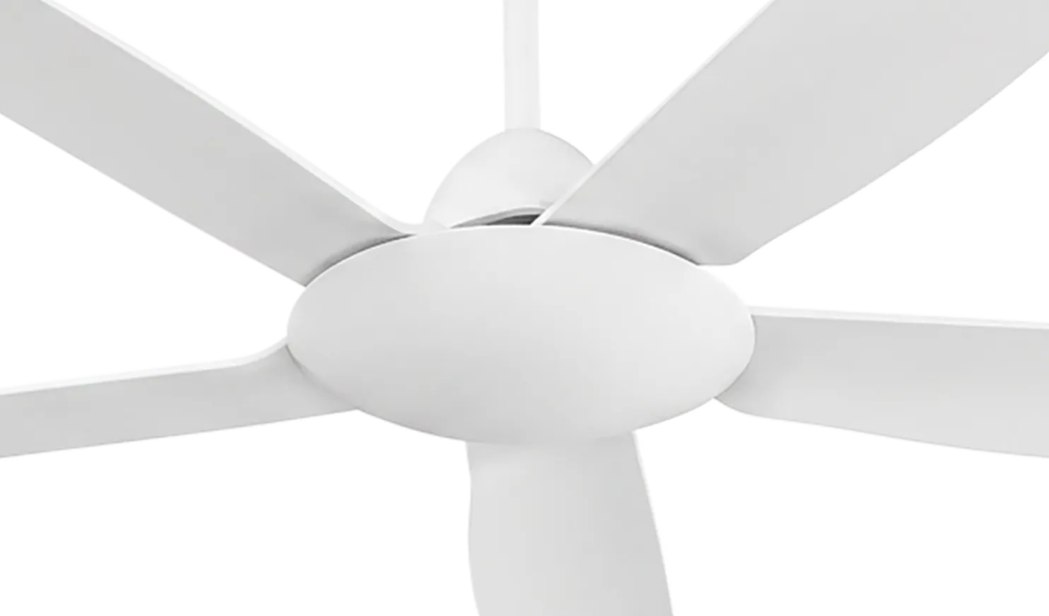 fan-banner