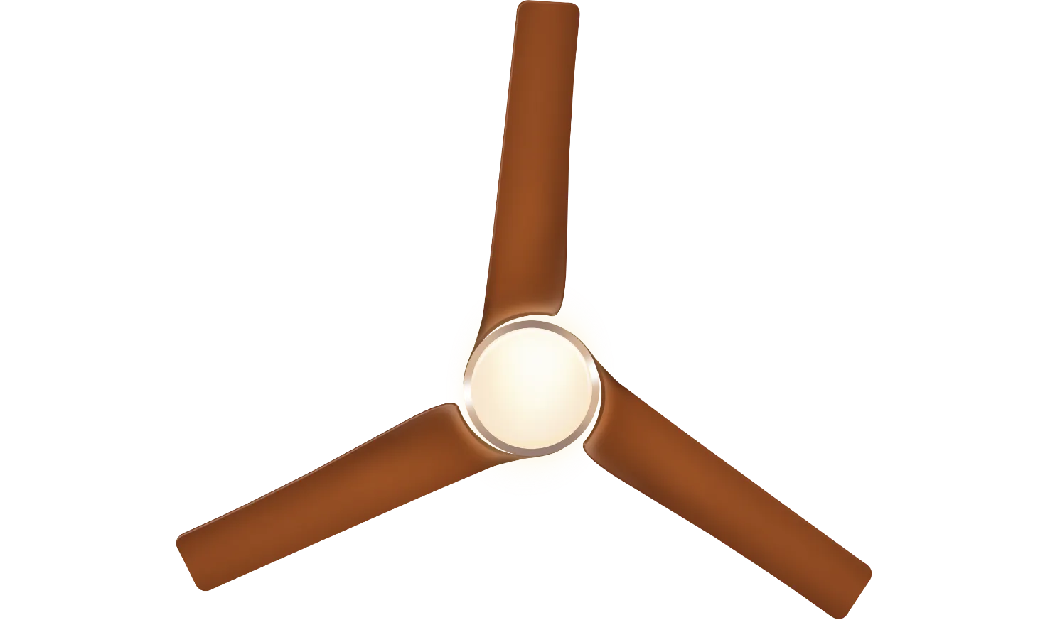 fan-banner
