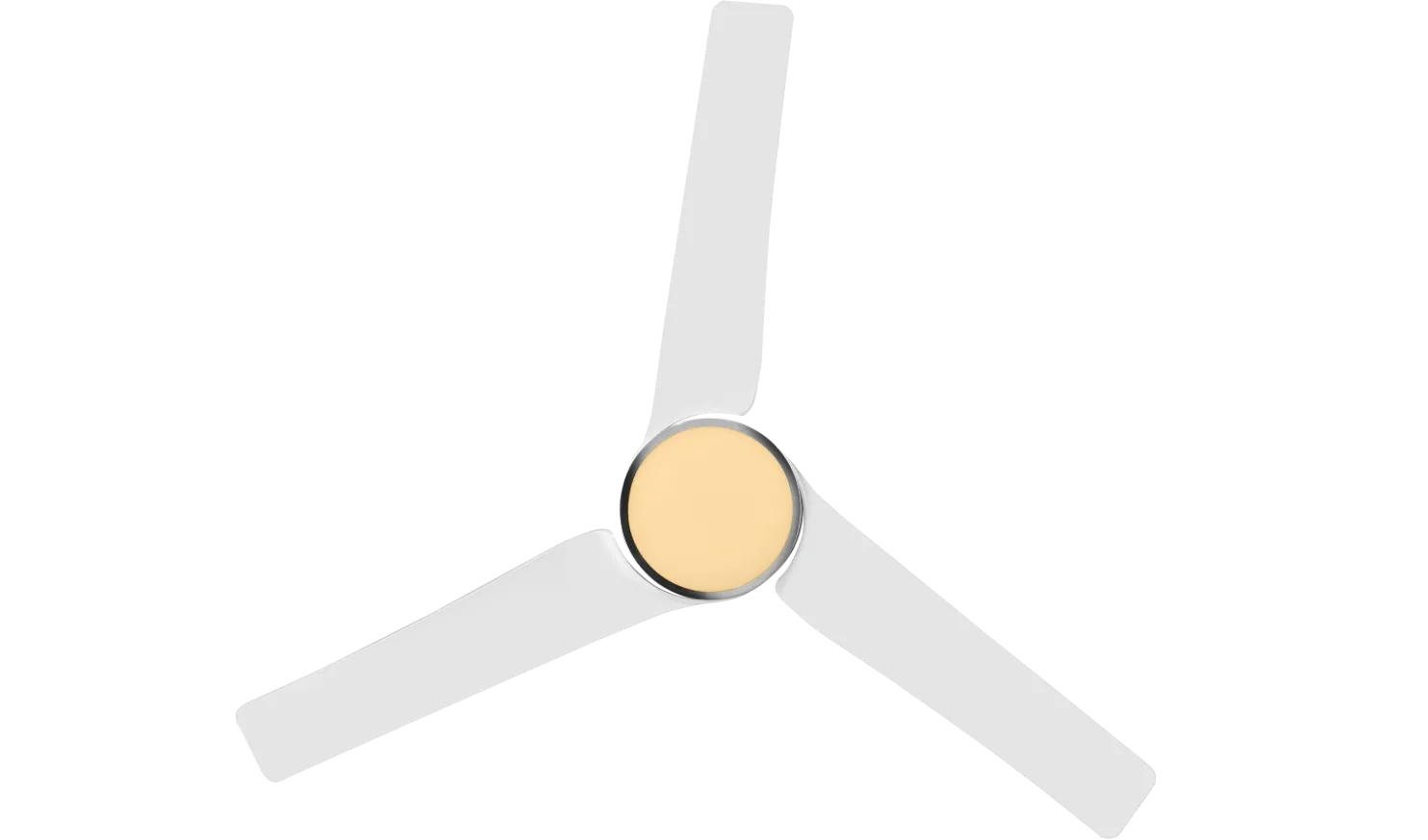 fan-banner