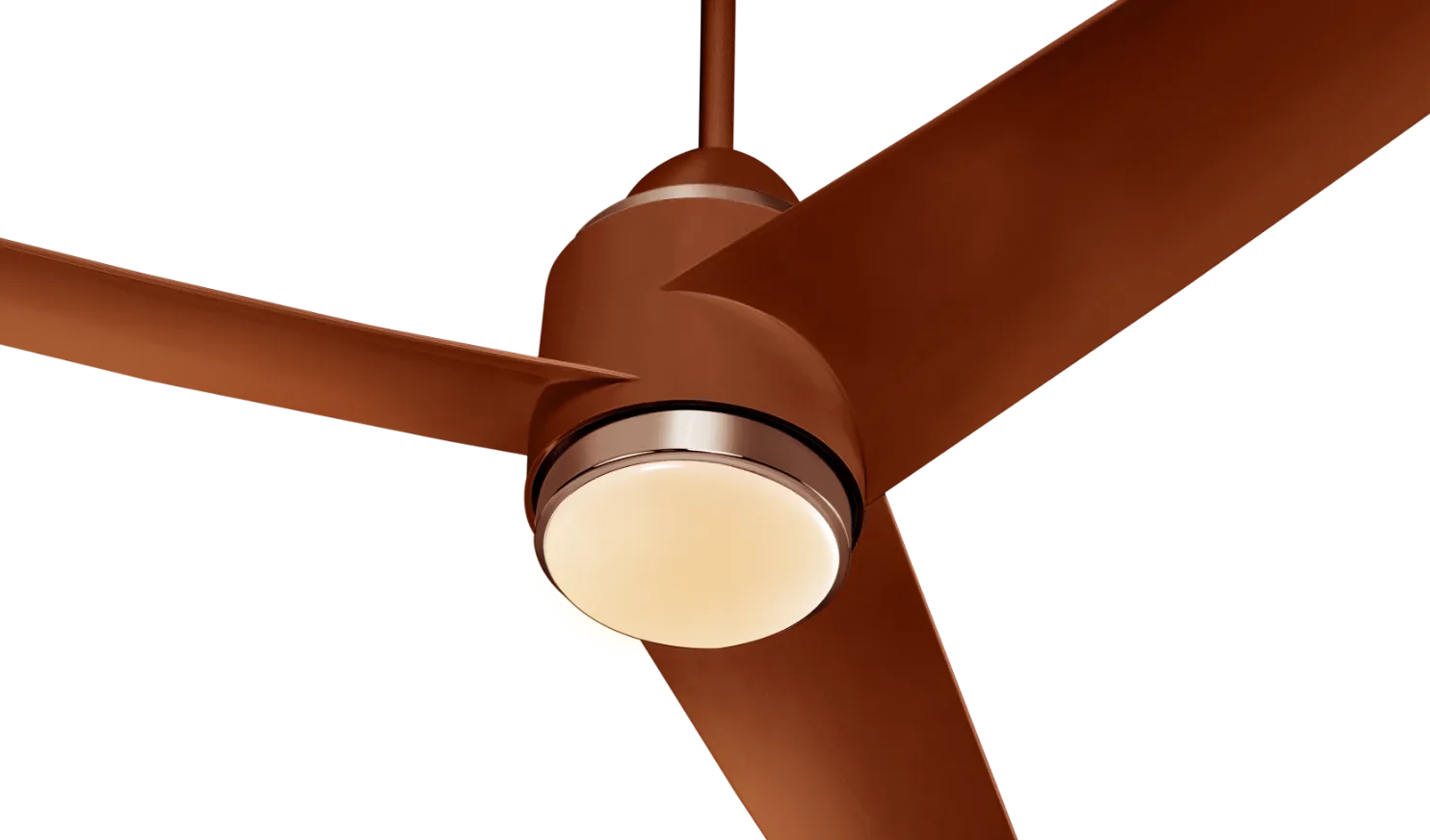 fan-banner