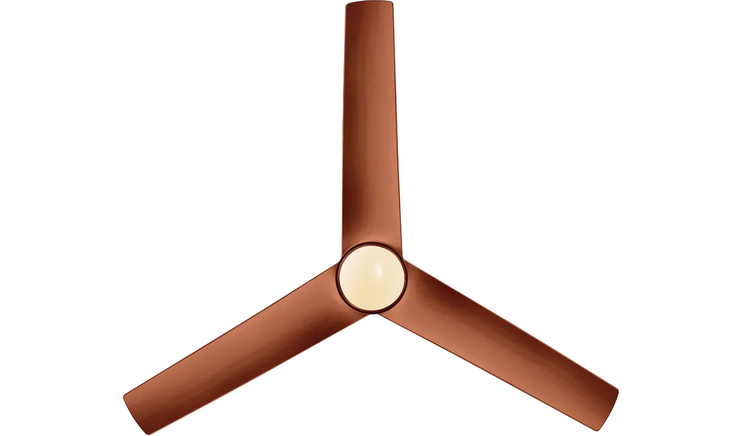 fan-banner