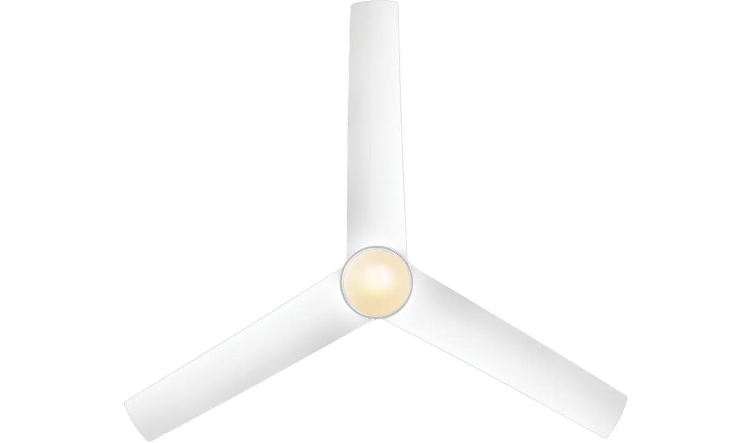 fan-banner